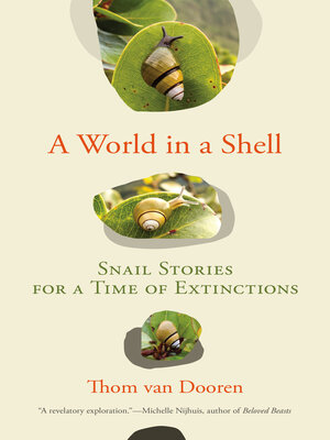 cover image of A World in a Shell
